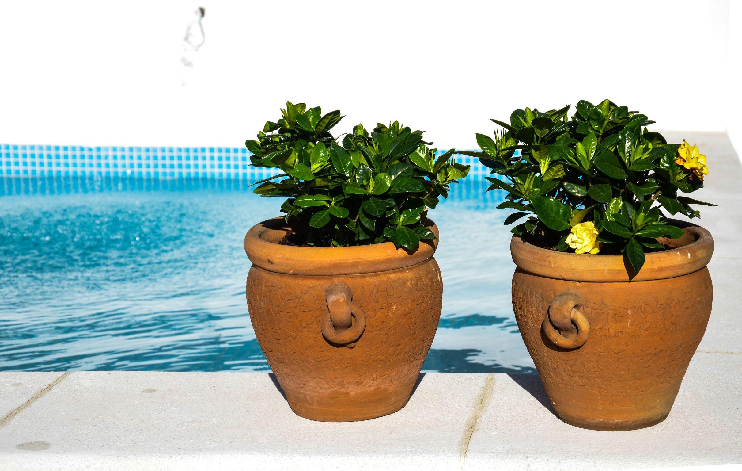 Aguilas5 Sevillasuites Luaran gambar